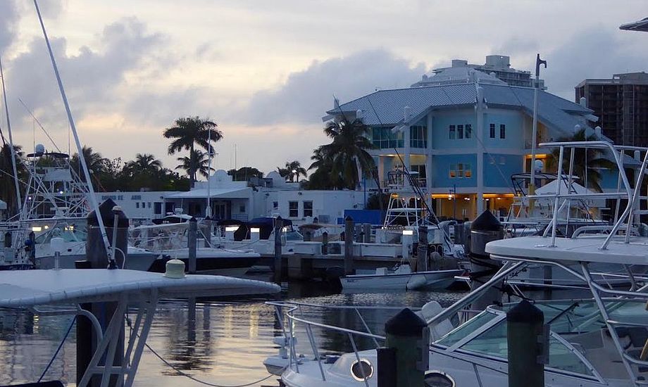 Marinaen i Coconut Grove, hvor man tilsyneladende nemt kan få ubudne gæster. Foto: Signe Storr