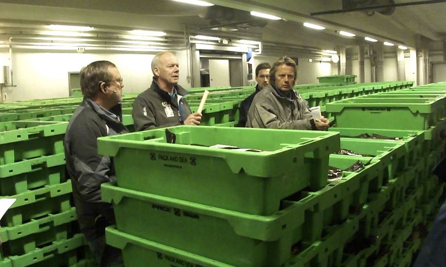 Den rekordstore tun blev solgt på fiskeauktionen i Hanstholm. Foto: YouTube