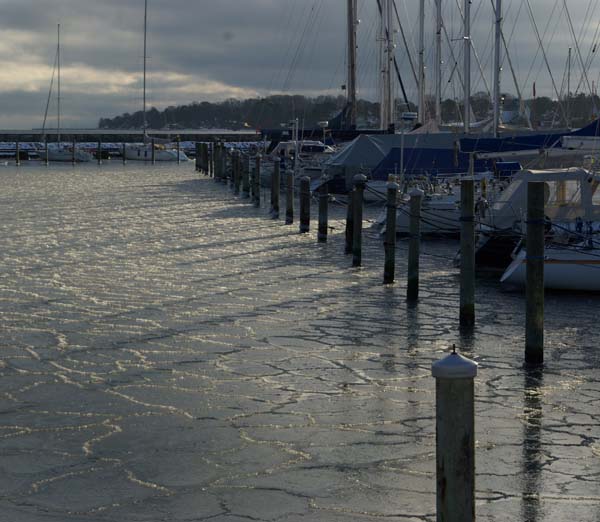Her ses is i Rungsted for nogle uger siden. I dag kan man gå i flere havne og det er åbenbart ekstra farligt for bådejerne. Foto: Troels Lykke