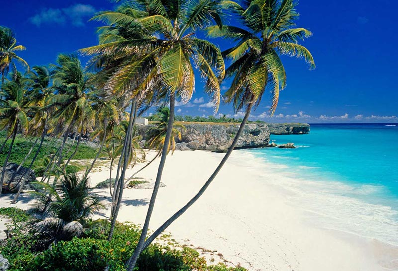 Barbados i Caribien. Det ser da meget godt ud! Foto: sap505worlds.com