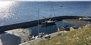 I weekenden ligger typisk 10-20 både ved Flakfortet. Til gengæld er der folk i samtlige af bådene, da der ikke er fastlæggere på øen. Foto: Lars Engelsby Mosbech