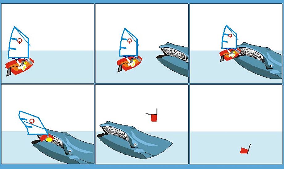 På finckh.net kan du teste dig selv i kapsejladsreglerne på flere måder. Du bliver spist af en hval, hvis du svarer forkert! Grafik fra finckh.net