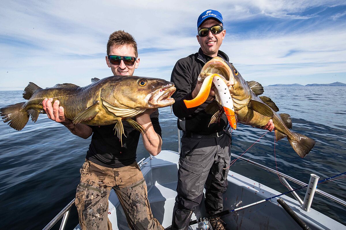 Fang storfisk i de norske fjorde - Minbåd.dk