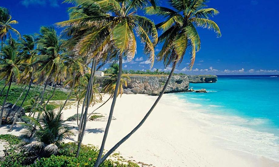 Barbados i Caribien. Det ser da meget godt ud! Foto: sap505worlds.com