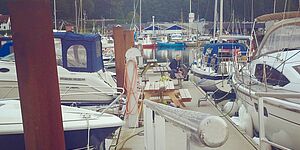 Flere sejlere lægger i sommermånederne turen forbi Lemvig Havn. Foto: Rikke Andersen