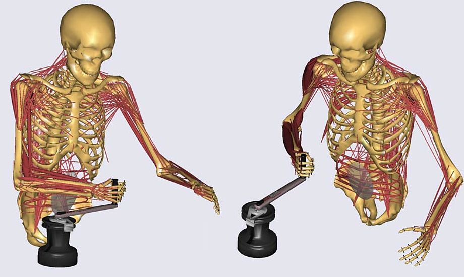 Computersimuleringen kan vise, hvilke muskler, der bliver overbelastede, og det er interessant viden, hvis man f.eks. vil sende konen i fitness. Grafik: Christian Gammelgaard Olesen