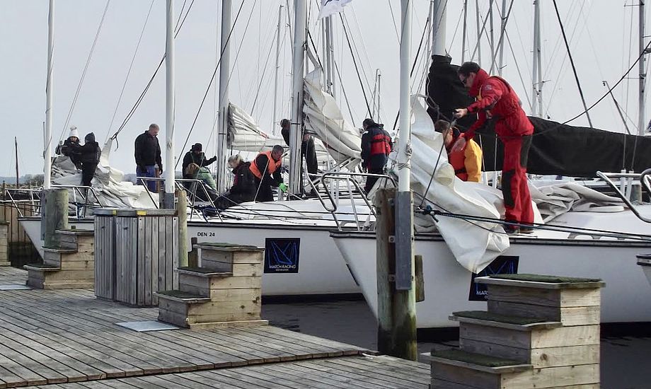 Det er nu også muligt at modtage prøvebeviser fra Dansk Sejlunion. Foto: Middelfart Sejlklub