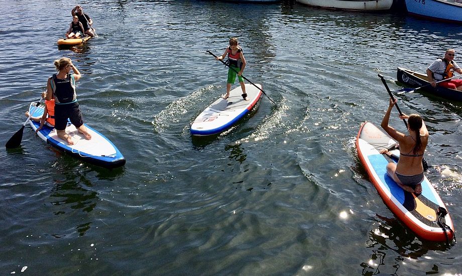 Her prøver besøgende til Havnens Dag kræfter med SUP-boards i Hundested. Foto: Vild Med Vand