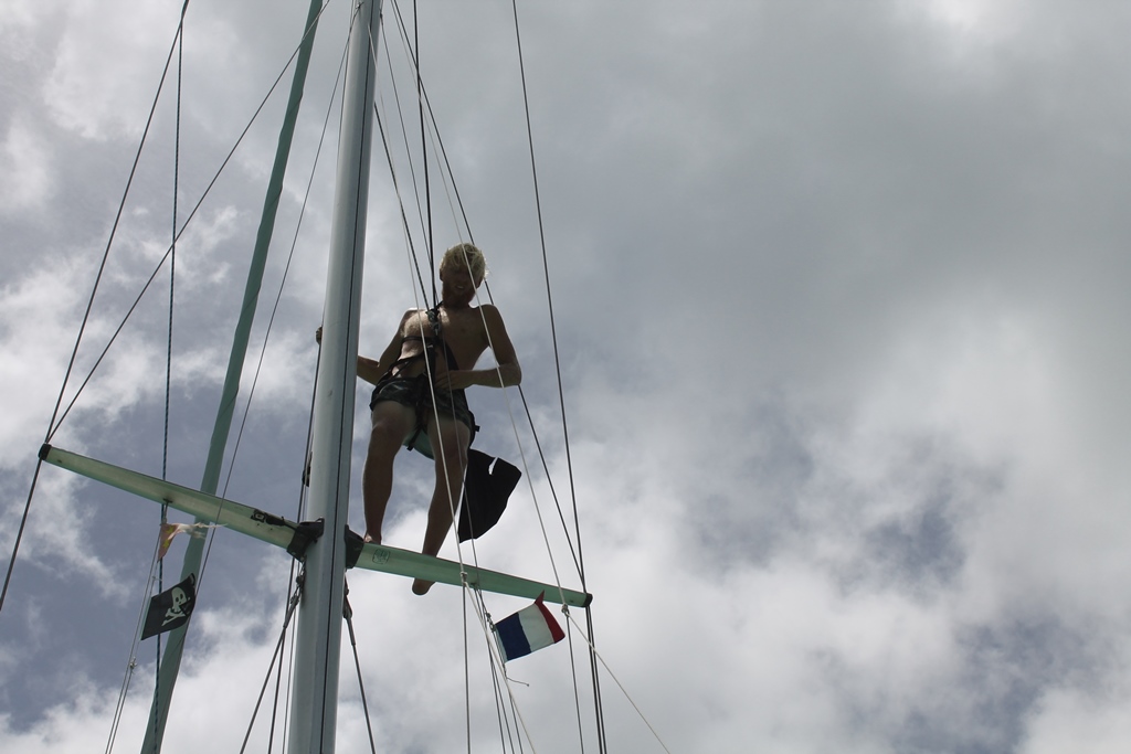 Skipper Christian i masten i gang med at skifte bakstag inden afgang fra St. Martin. Foto: Cille Rosentoft.