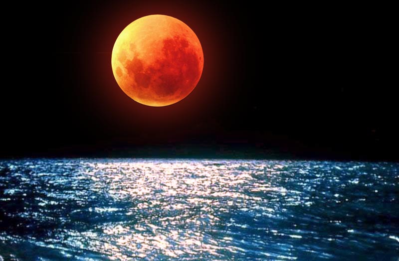 Månen er normalt 384.405 km fra jorden men i øjeblikket er den 50.000 km tættere på. Foto: Katrine Bertelsen