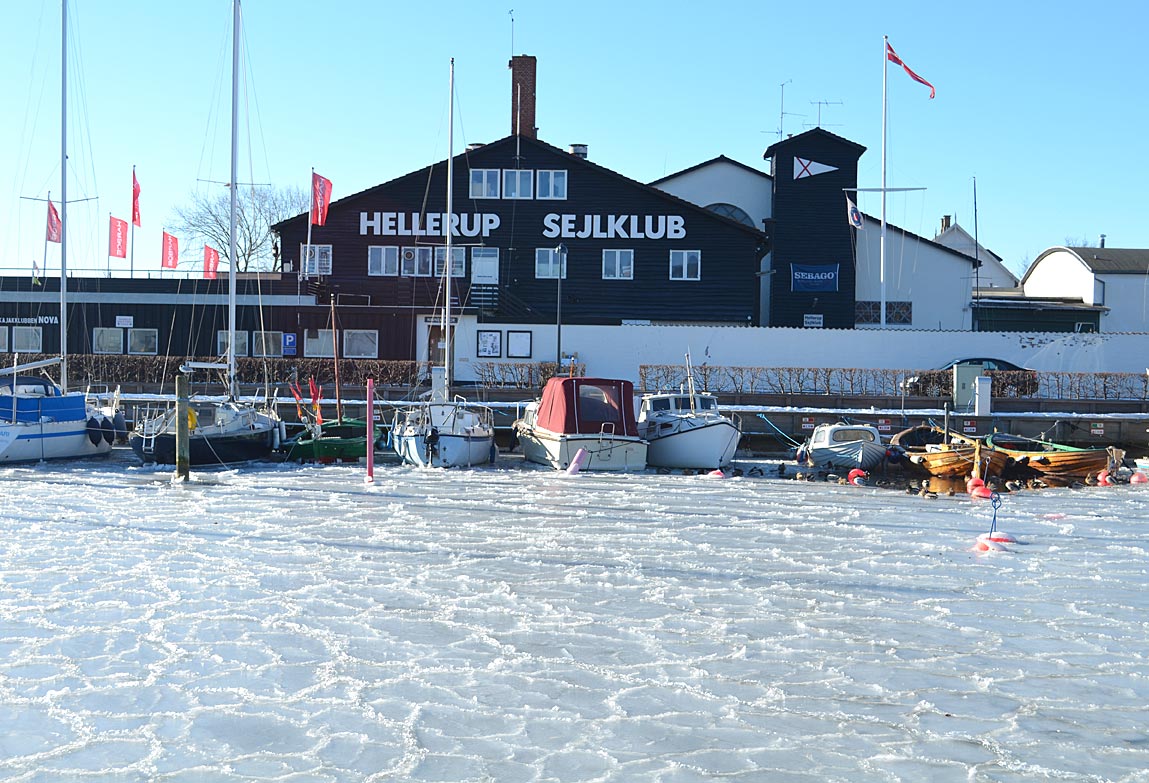 Flot ser det ud. Men ikke så godt at sejle på. Et situationsbillede fra Hellerup Havn i morges. Foto: Christian Lerche