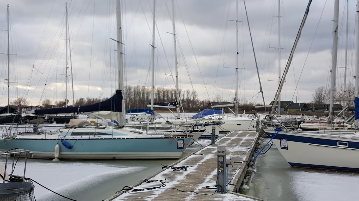 Hos Tempo Bådsalg, Ishøj, sad bådene godt fast i isen i januar. Arkivfoto: Troels Lykke