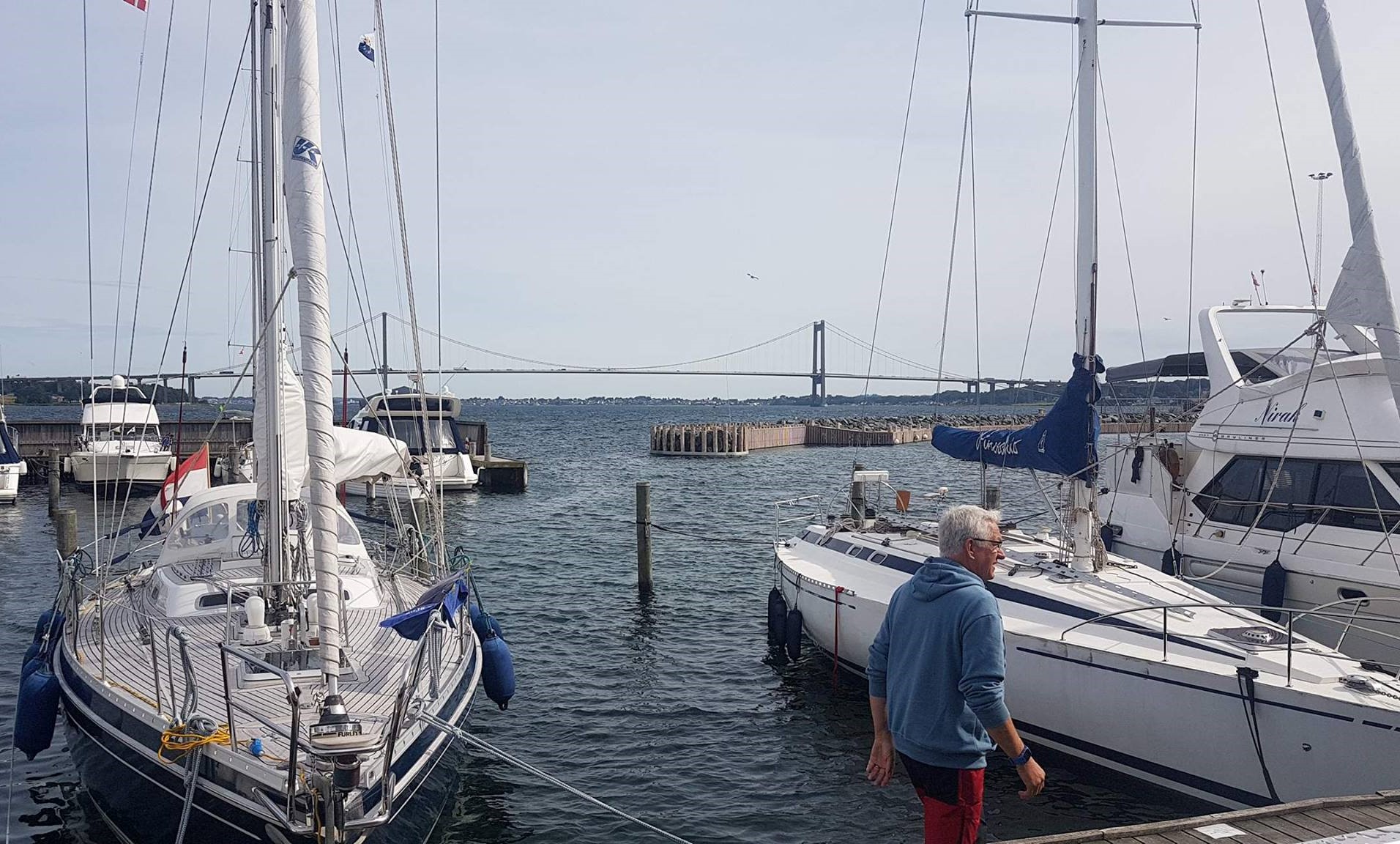 Fantastisk udsigt er der i den private marina i Middelfart, hvor bilerne kan høres i nordlig vind, hvis ikke riggene hyler som lige nu. Fotos: Troels Lykke
