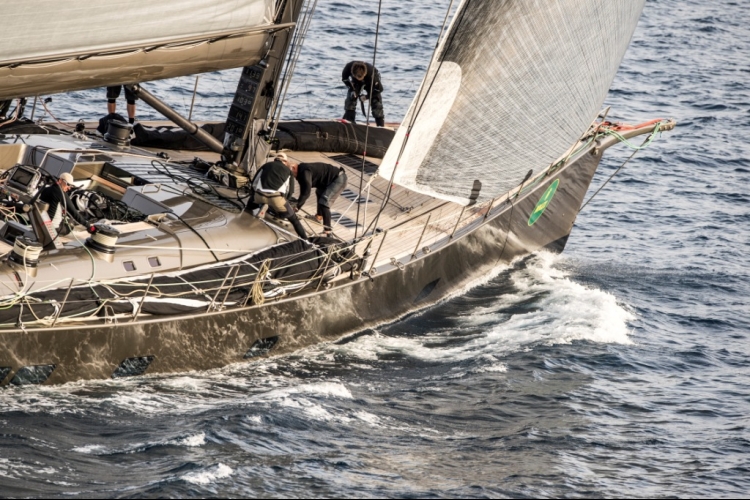 Radich sejler på denne 100 fods Wally. Foto: © Rolex/ Kurt Arrigo