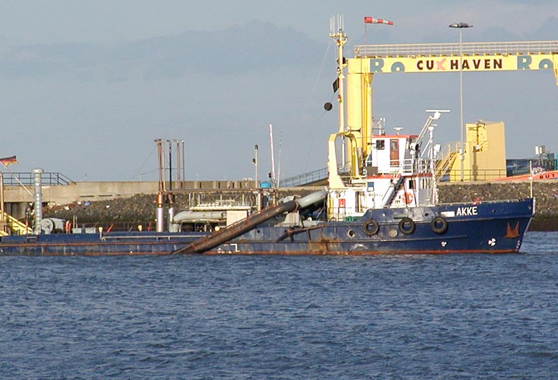Sandsugere er ved at ødelægge det maritime dyreliv i Øresund. Foto: Wikipedia