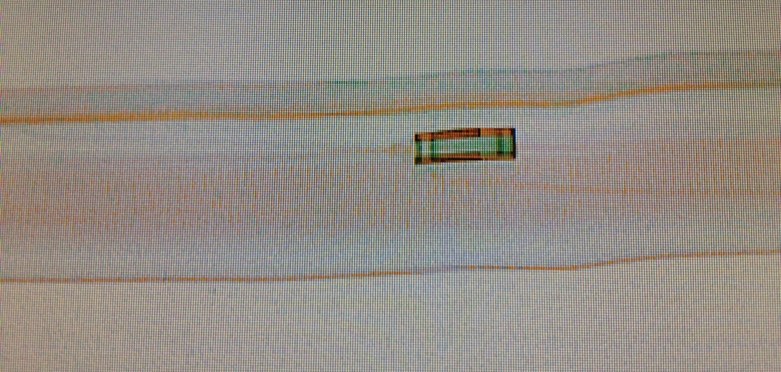 Sådan ser en mastelås ud set gennem en scanner. Foto: Thomas Jacobsen.