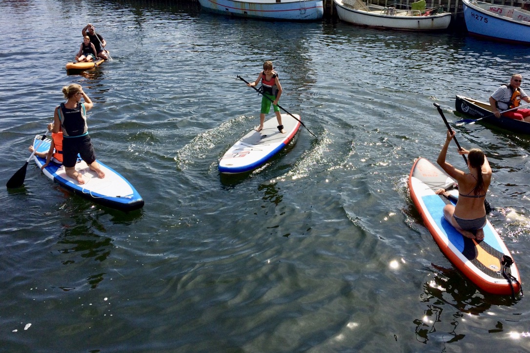 Her prøver besøgende til Havnens Dag kræfter med SUP-boards i Hundested. Foto: Vild Med Vand